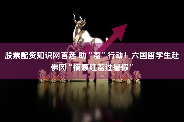 股票配资知识网首选 助“荔”行动！六国留学生赴佛冈“摘颗红荔过暑假”
