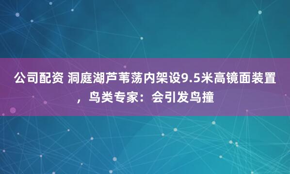 公司配资 洞庭湖芦苇荡内架设9.5米高镜面装置，鸟类专家：会引发鸟撞